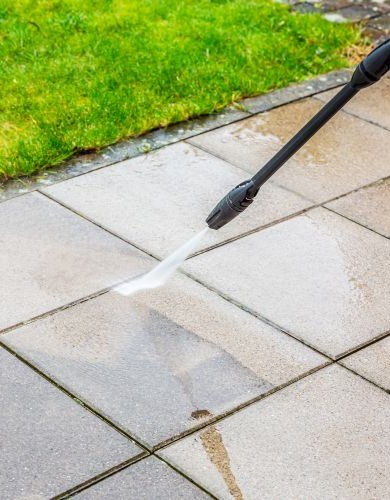 Shutterstock 2290488145 390x500 1