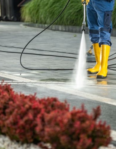 Shutterstock 2346794469 390x500 1